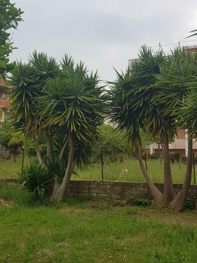 "Il Nespolo" Villa Scauri  Exterior photo